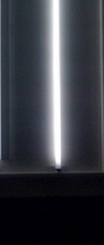 nine