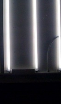 ten